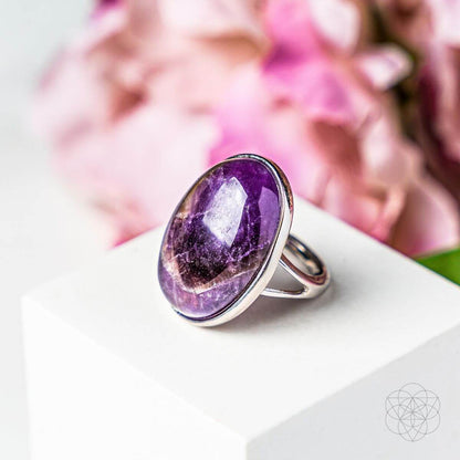 El anillo de visualización