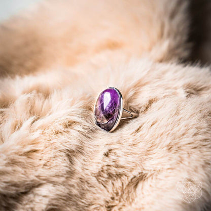 El anillo de visualización