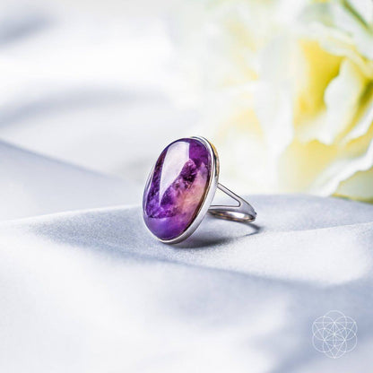 El anillo de visualización