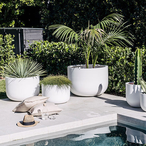 The Chop Low-Profile Planter | Wide Rim Feature Tree Pot