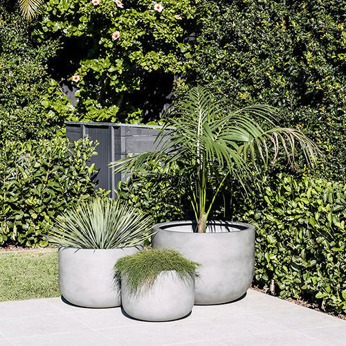 The Chop Low-Profile Planter | Wide Rim Feature Tree Pot