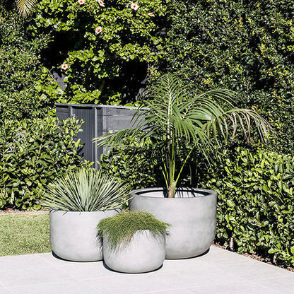 The Chop Low-Profile Planter | Wide Rim Feature Tree Pot