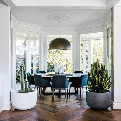 The Chop Low-Profile Planter | Wide Rim Feature Tree Pot