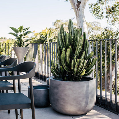 The Chop Low-Profile Planter | Wide Rim Feature Tree Pot