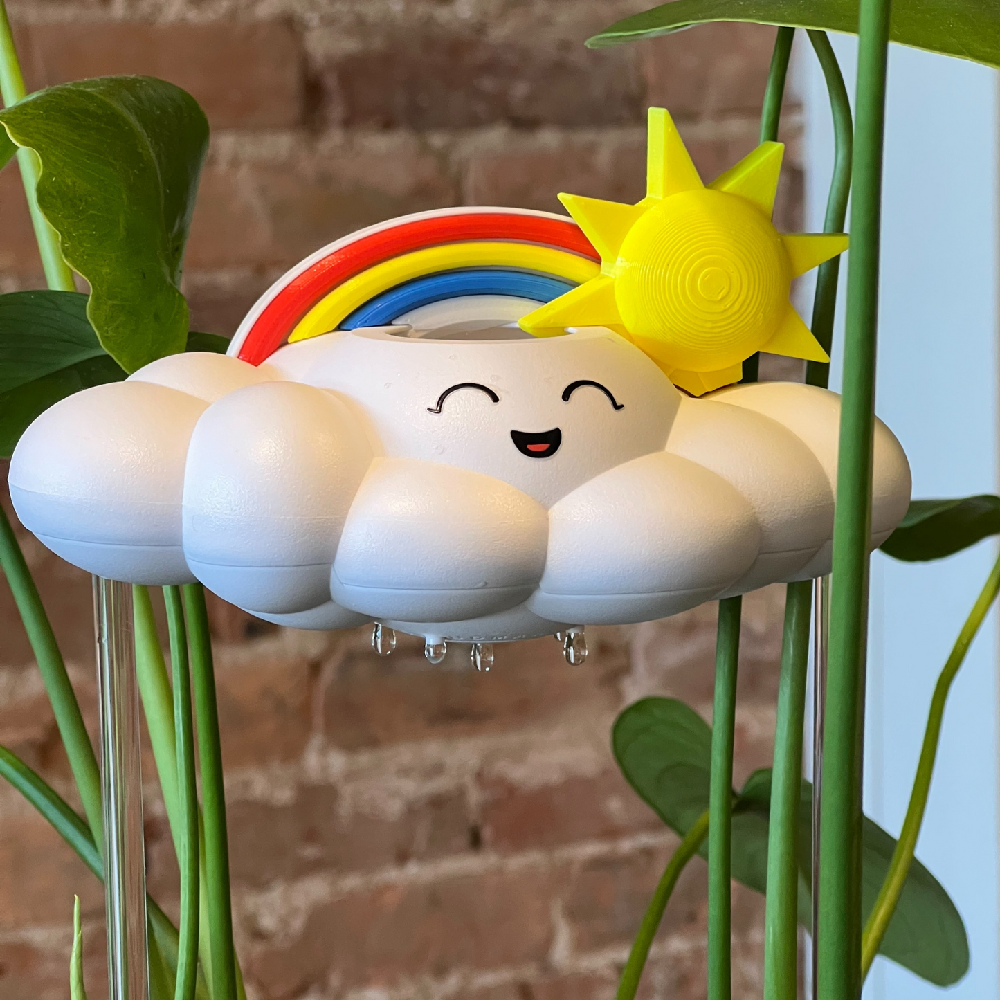 Chelsea la Nube
