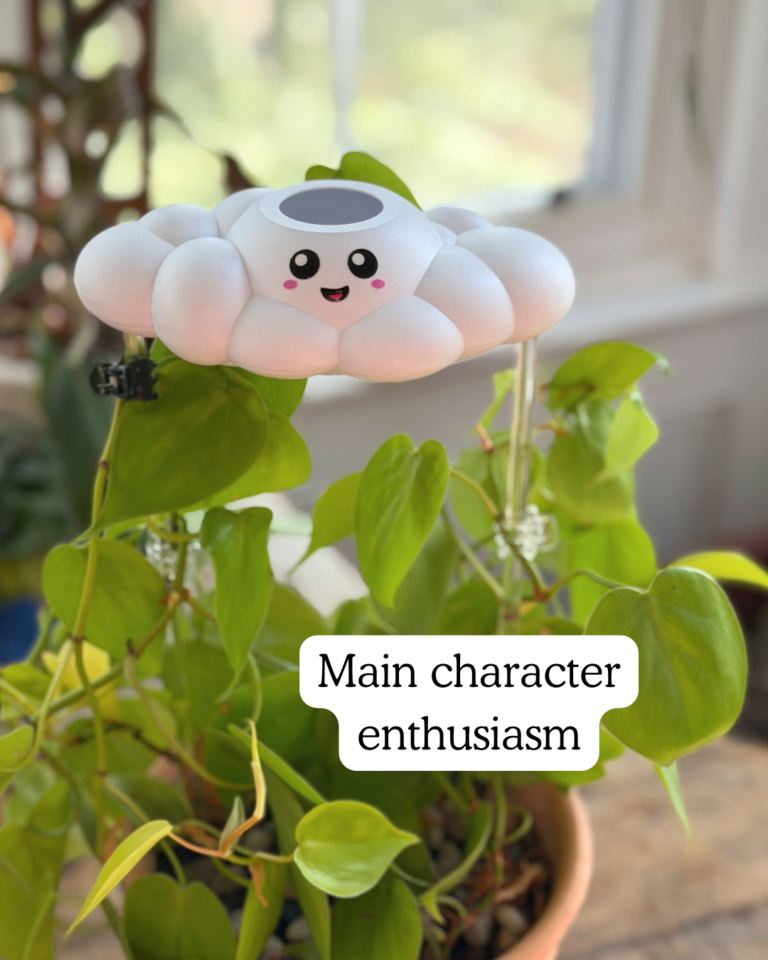 Skylar the Cloud