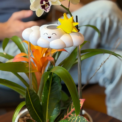 Chelsea the Cloud Plant Pal watering globe with a yellow sun accent on a white cloud base on Tampa Home & Garden Store