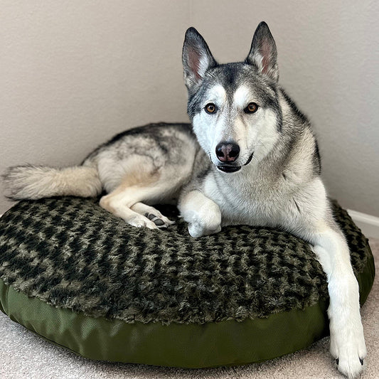 Dog Bed - Round Furvana™ with dark gray faux fur top and olive base; husky lounging on it on Tampa Home & Garden Store