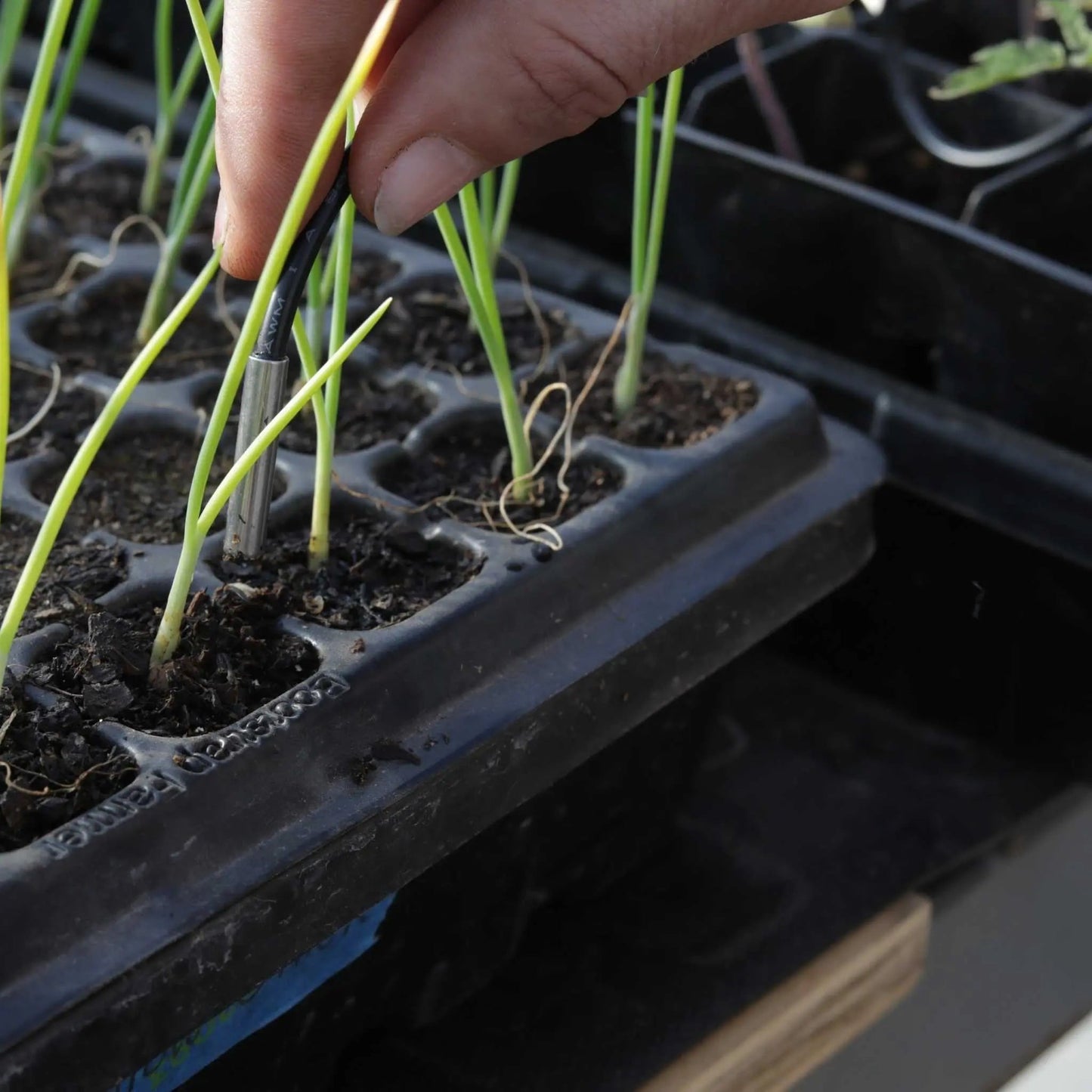 Seedling Heat Mat Temperature Controller