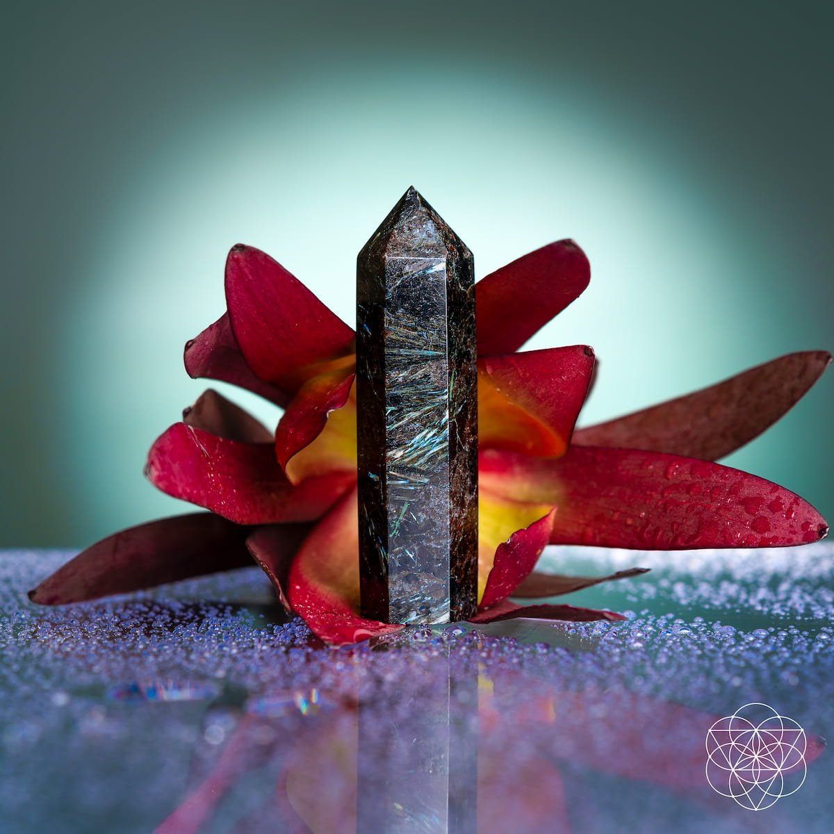 This Is Your Breakthrough – Rare Arfvedsonite Point - Tampa Home & Garden Store