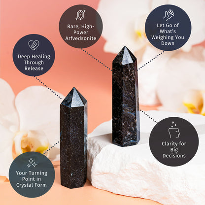 This Is Your Breakthrough – Rare Arfvedsonite Point - Tampa Home & Garden Store