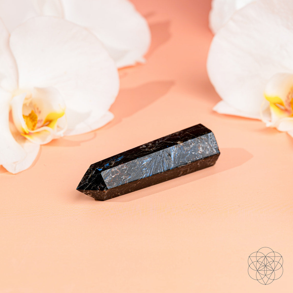 This Is Your Breakthrough – Rare Arfvedsonite Point - Tampa Home & Garden Store