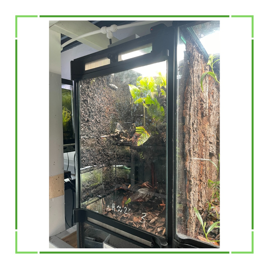 Thrive Ecosystems Aqueon Aquarium Conversion Kit - Tampa Home & Garden Store