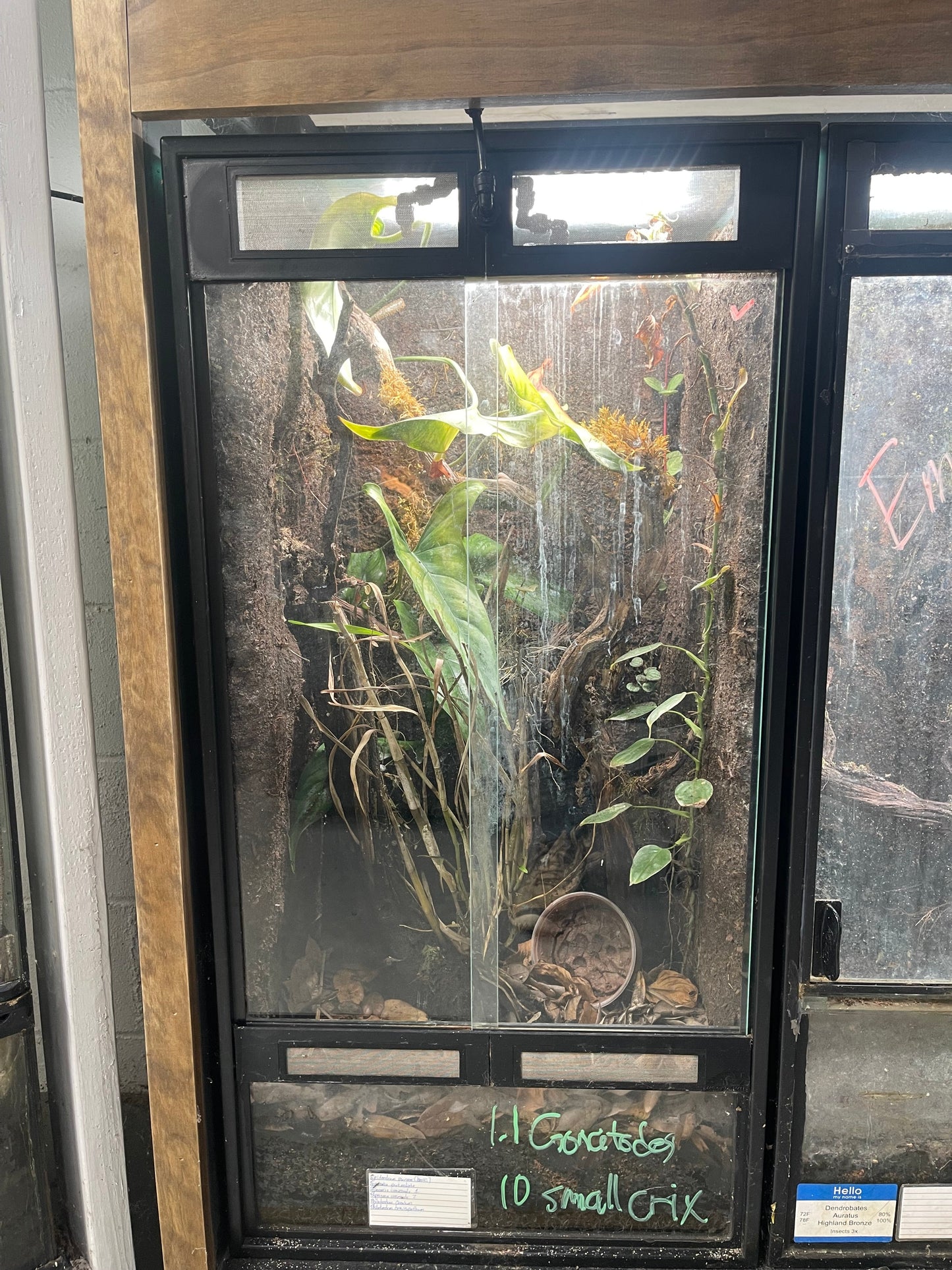 Thrive Ecosystems Aqueon Aquarium Conversion Kit - Tampa Home & Garden Store