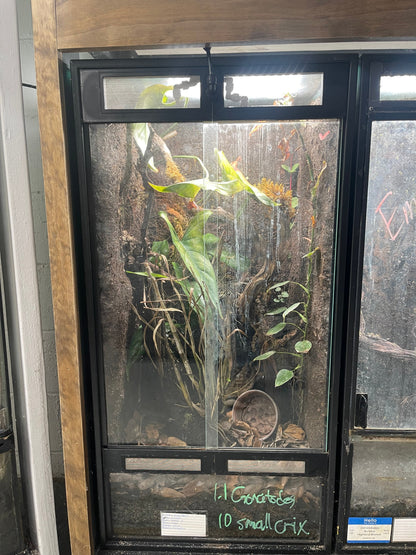 Thrive Ecosystems Aqueon Aquarium Conversion Kit - Tampa Home & Garden Store