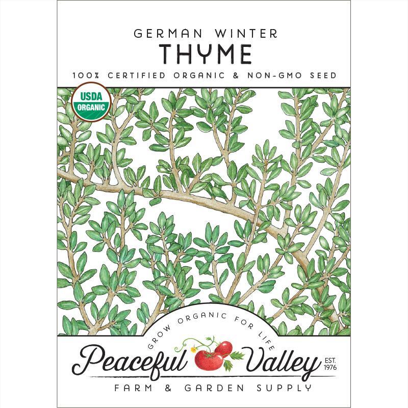 Thyme, German Winter (Organic) - Tampa Home & Garden Store