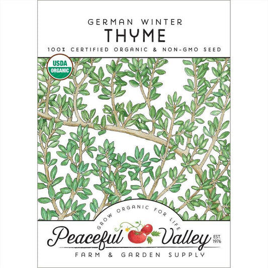 Thyme, German Winter (Organic) - Tampa Home & Garden Store
