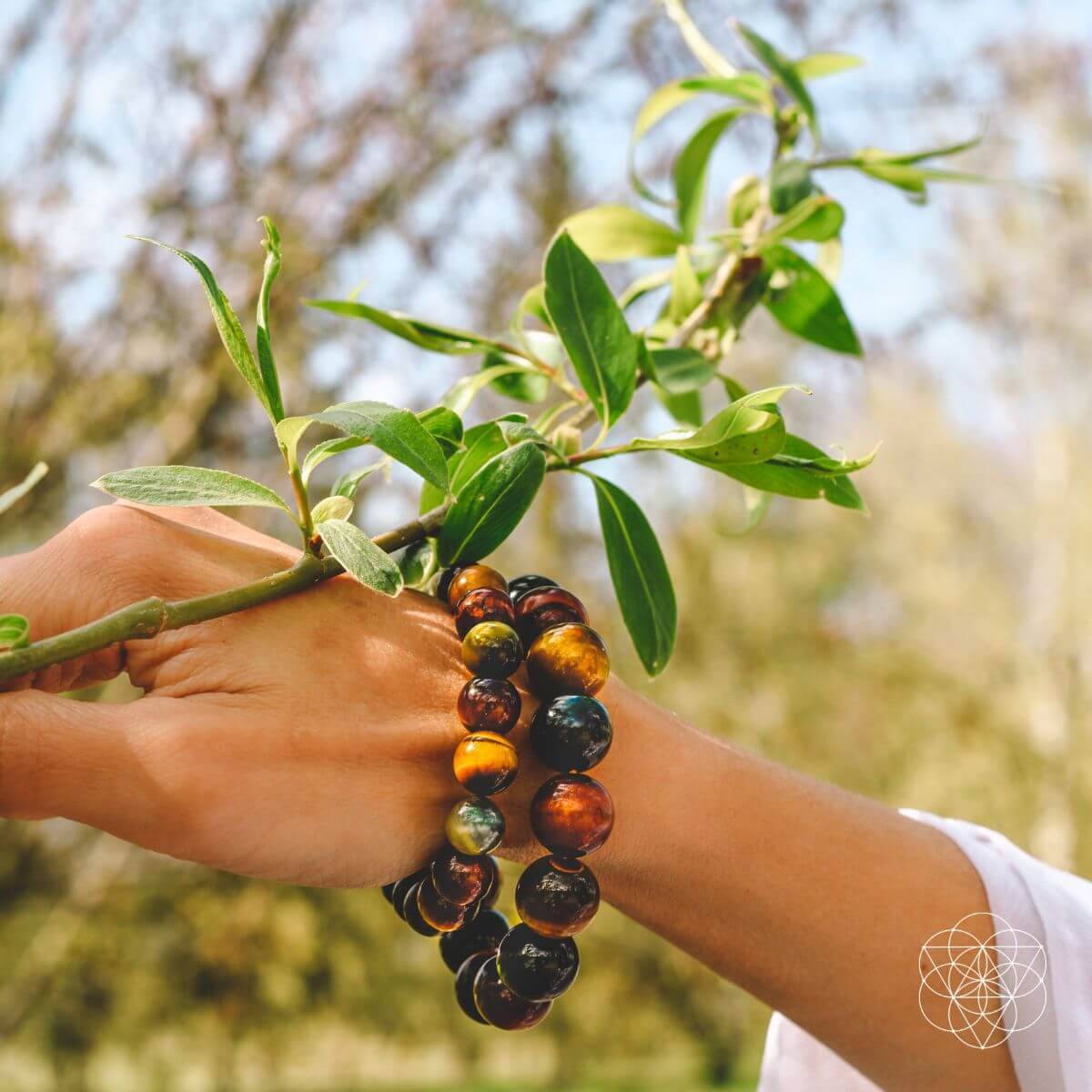 Tiger Protection Bracelet - Tampa Home & Garden Store
