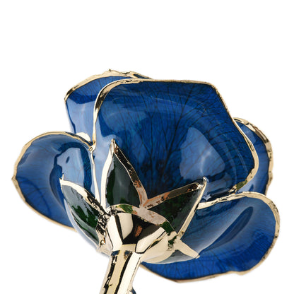 Timeless Rose (Blue) - Tampa Home & Garden Store