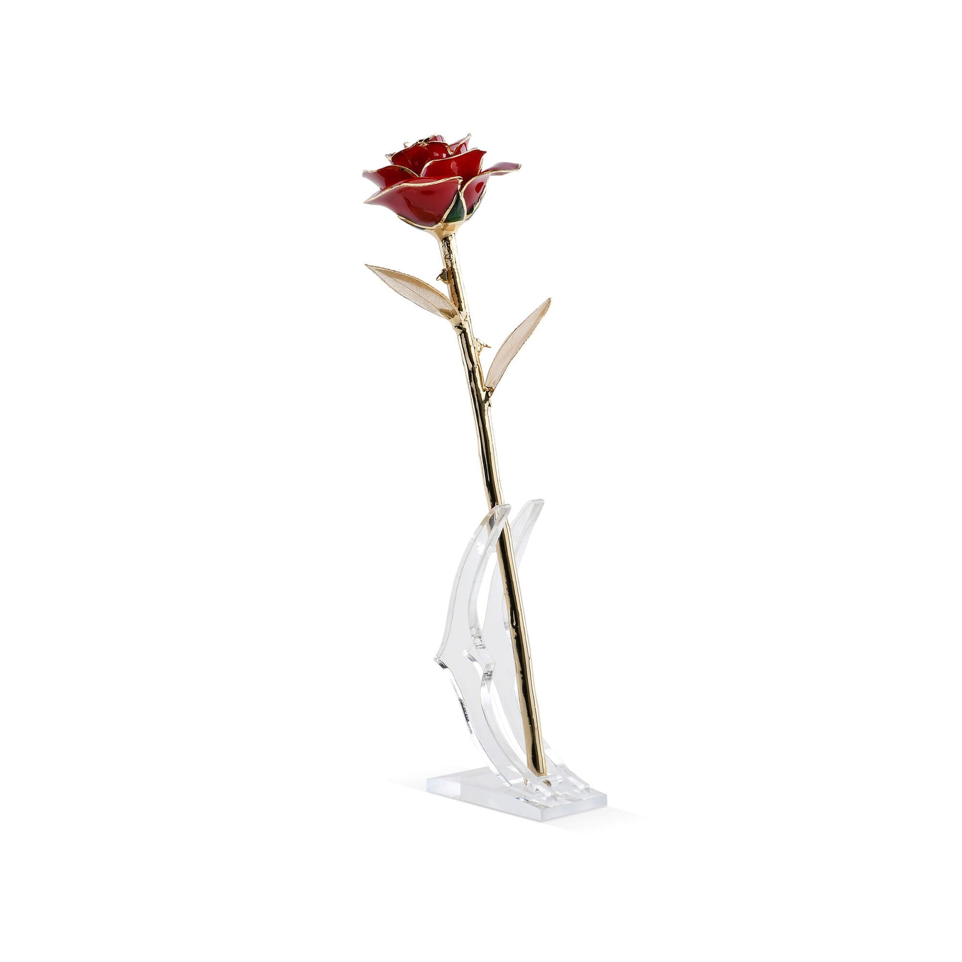 Timeless Rose (Dark Red) - Tampa Home & Garden Store