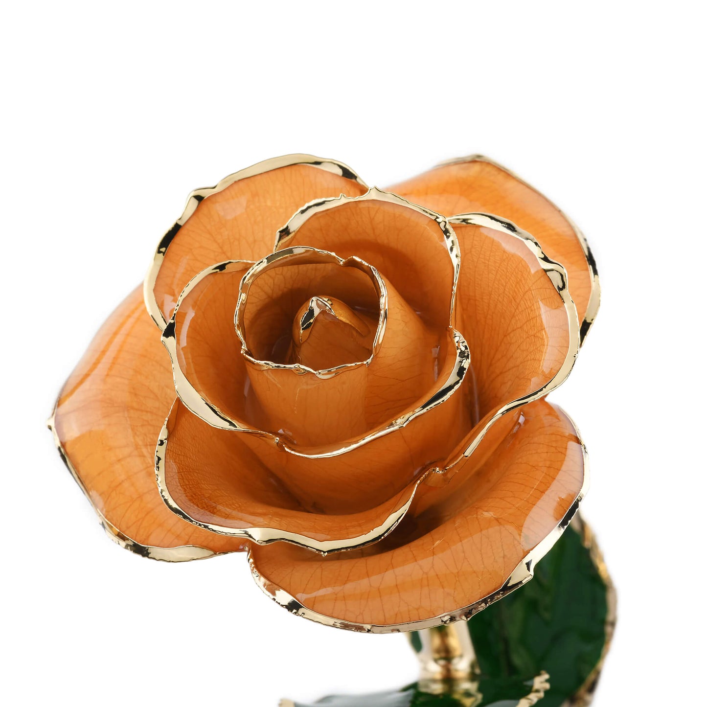 Timeless Rose (Pear) - Tampa Home & Garden Store