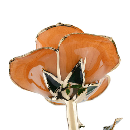 Timeless Rose (Pear) - Tampa Home & Garden Store