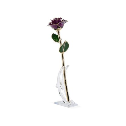 Timeless Rose (Purple) - Tampa Home & Garden Store