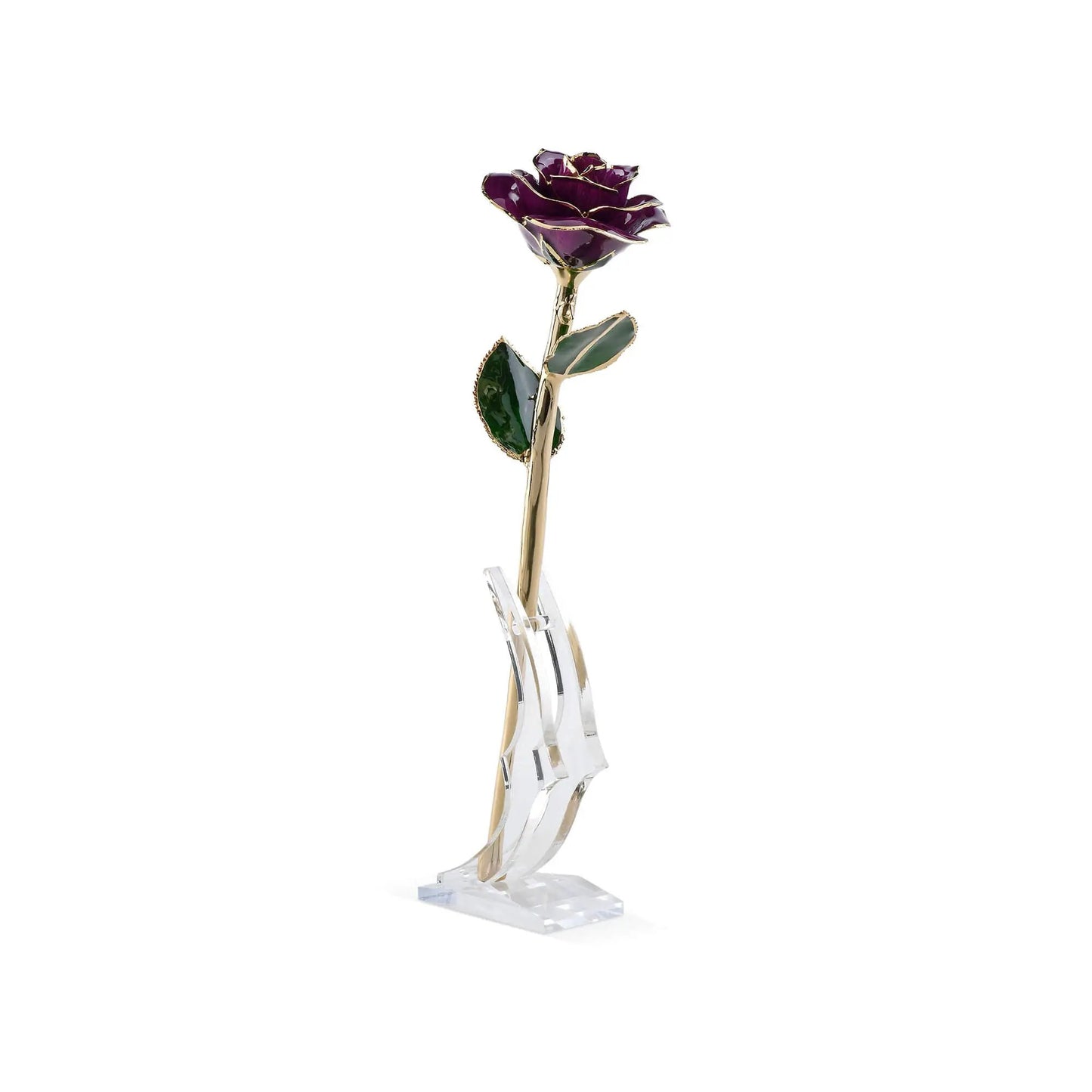 Timeless Rose (Purple) - Tampa Home & Garden Store