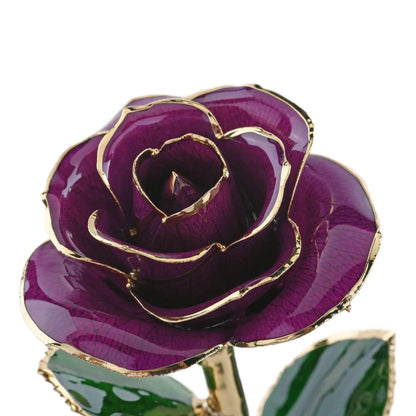 Timeless Rose (Purple) - Tampa Home & Garden Store