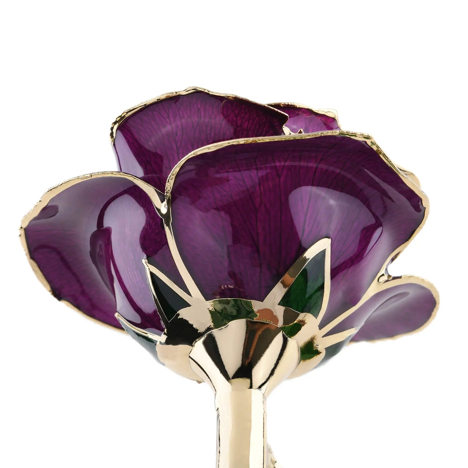 Timeless Rose (Purple) - Tampa Home & Garden Store