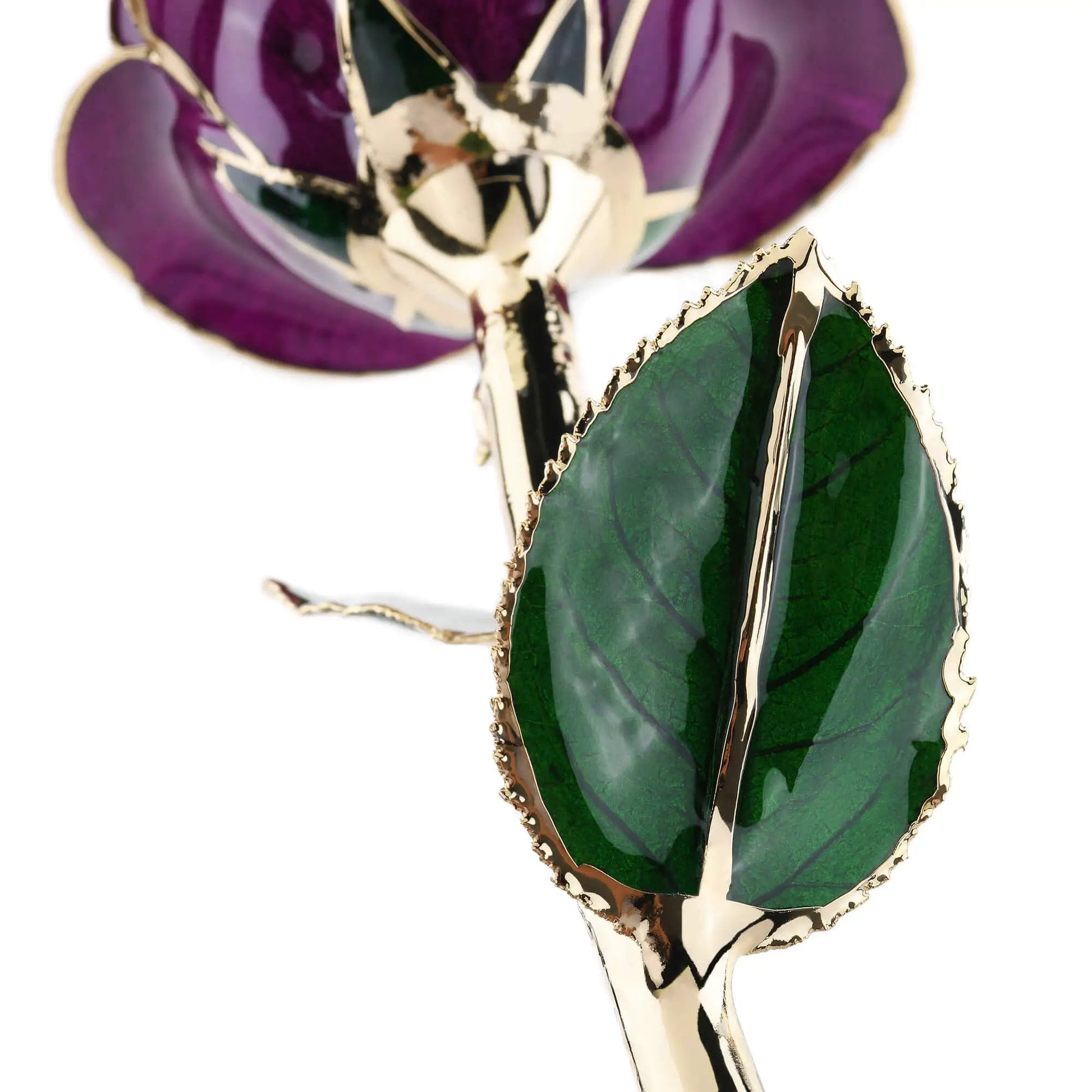 Timeless Rose (Purple) - Tampa Home & Garden Store