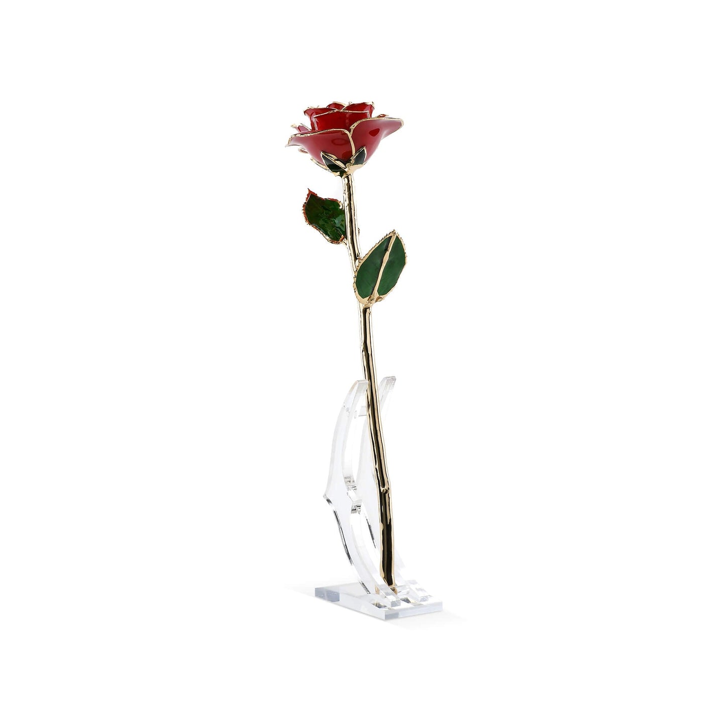 Timeless Rose (Red) - Tampa Home & Garden Store