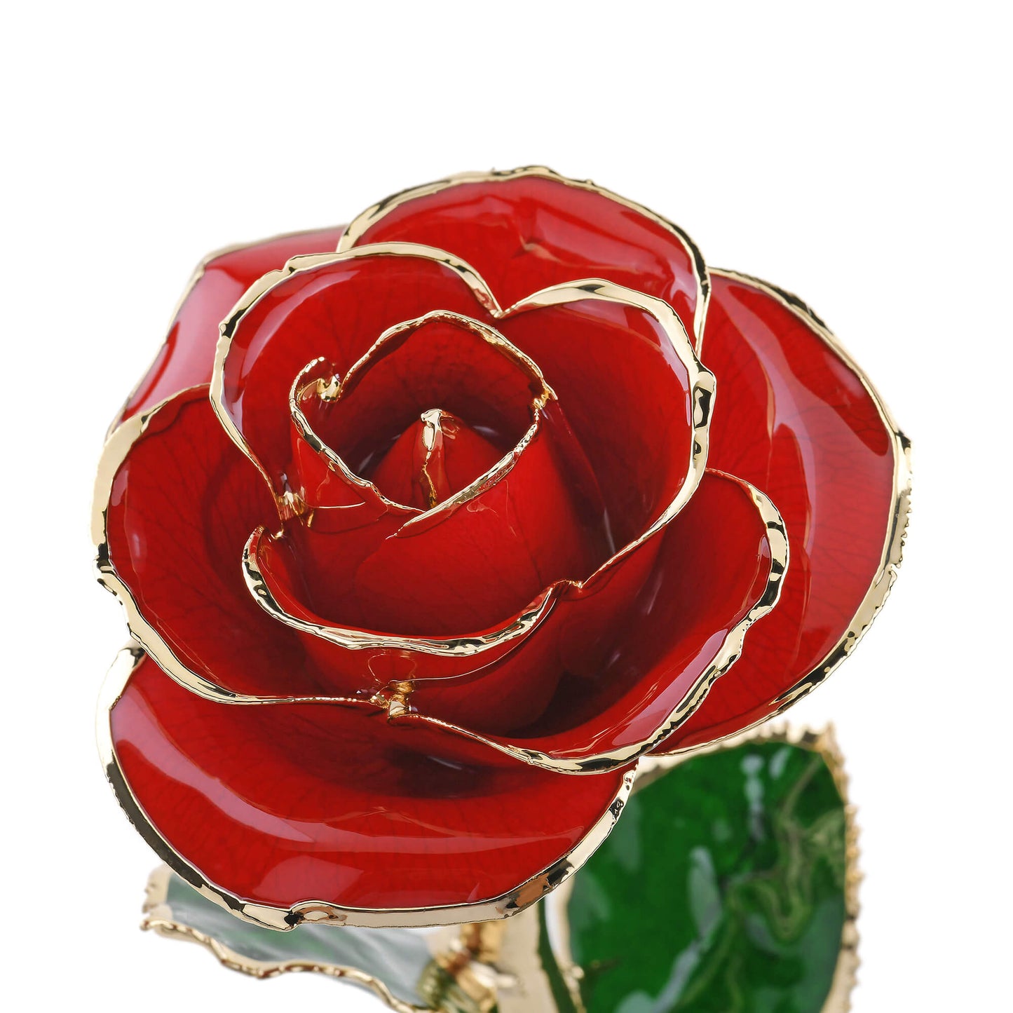 Timeless Rose (Red) - Tampa Home & Garden Store