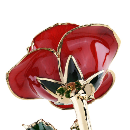 Timeless Rose (Red) - Tampa Home & Garden Store