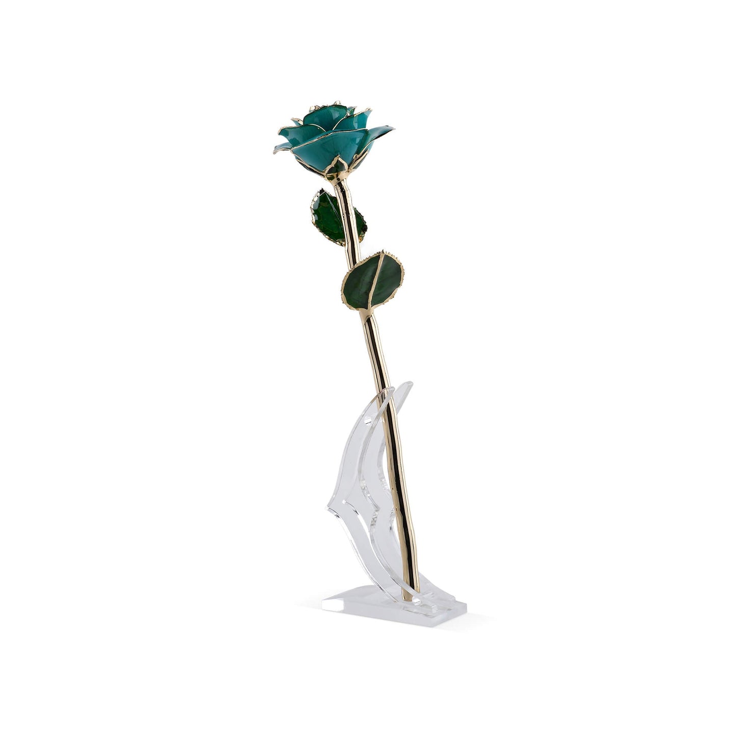 Timeless Rose (Teal) - Tampa Home & Garden Store