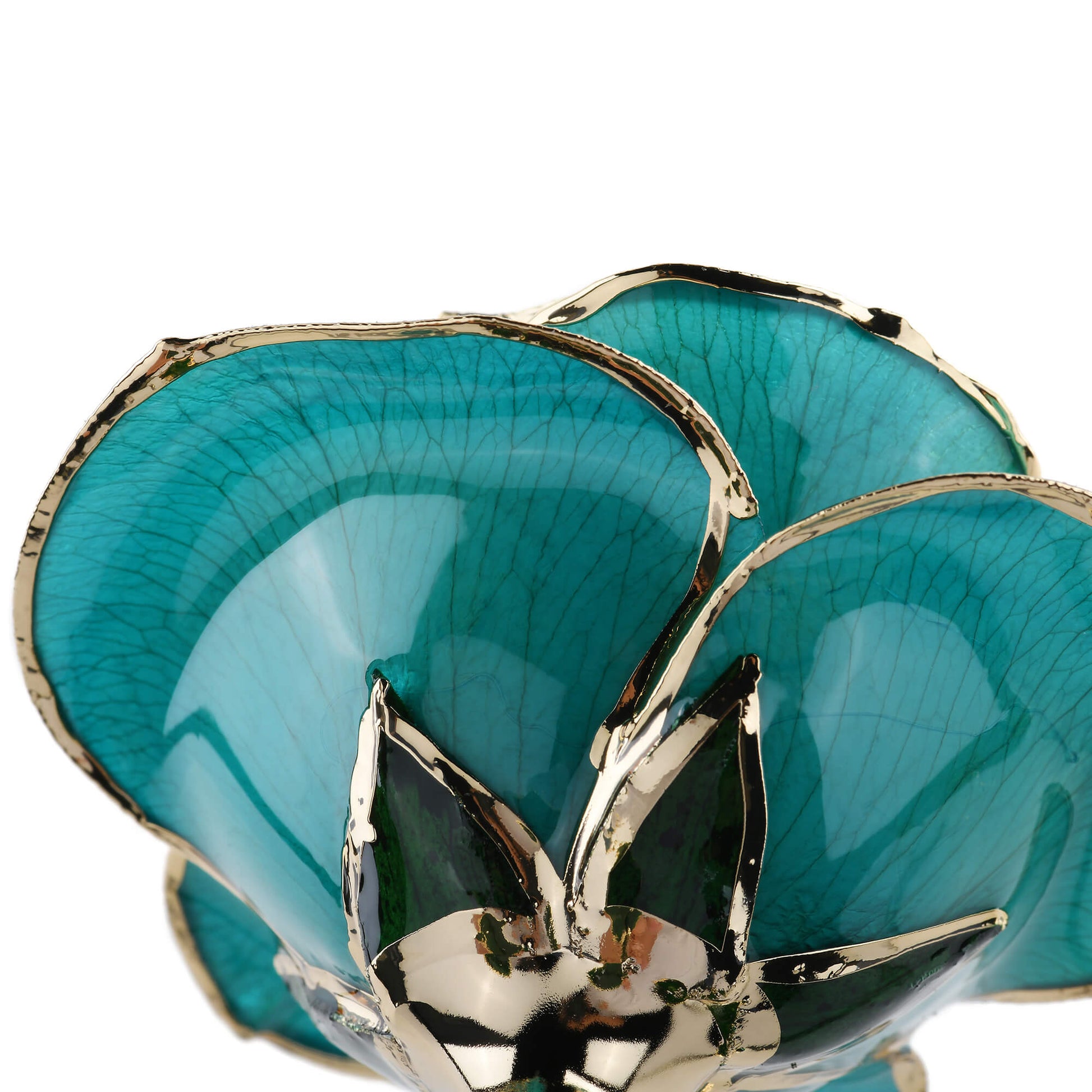 Timeless Rose (Teal) - Tampa Home & Garden Store