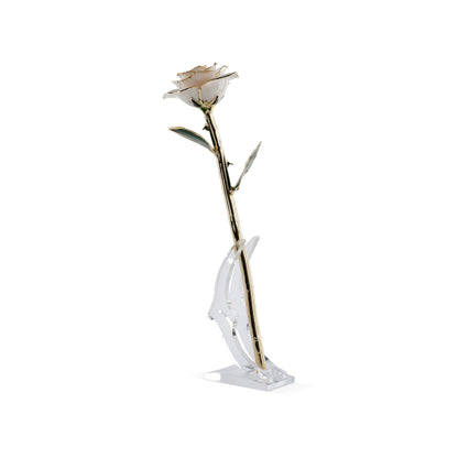 Timeless Rose (White) - Tampa Home & Garden Store