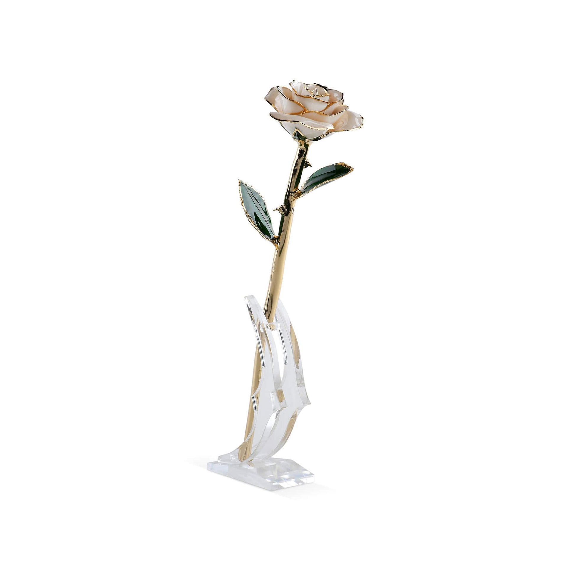 Timeless Rose (White) - Tampa Home & Garden Store
