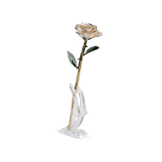 Timeless Rose (White) - Tampa Home & Garden Store