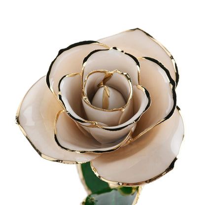 Timeless Rose (White) - Tampa Home & Garden Store
