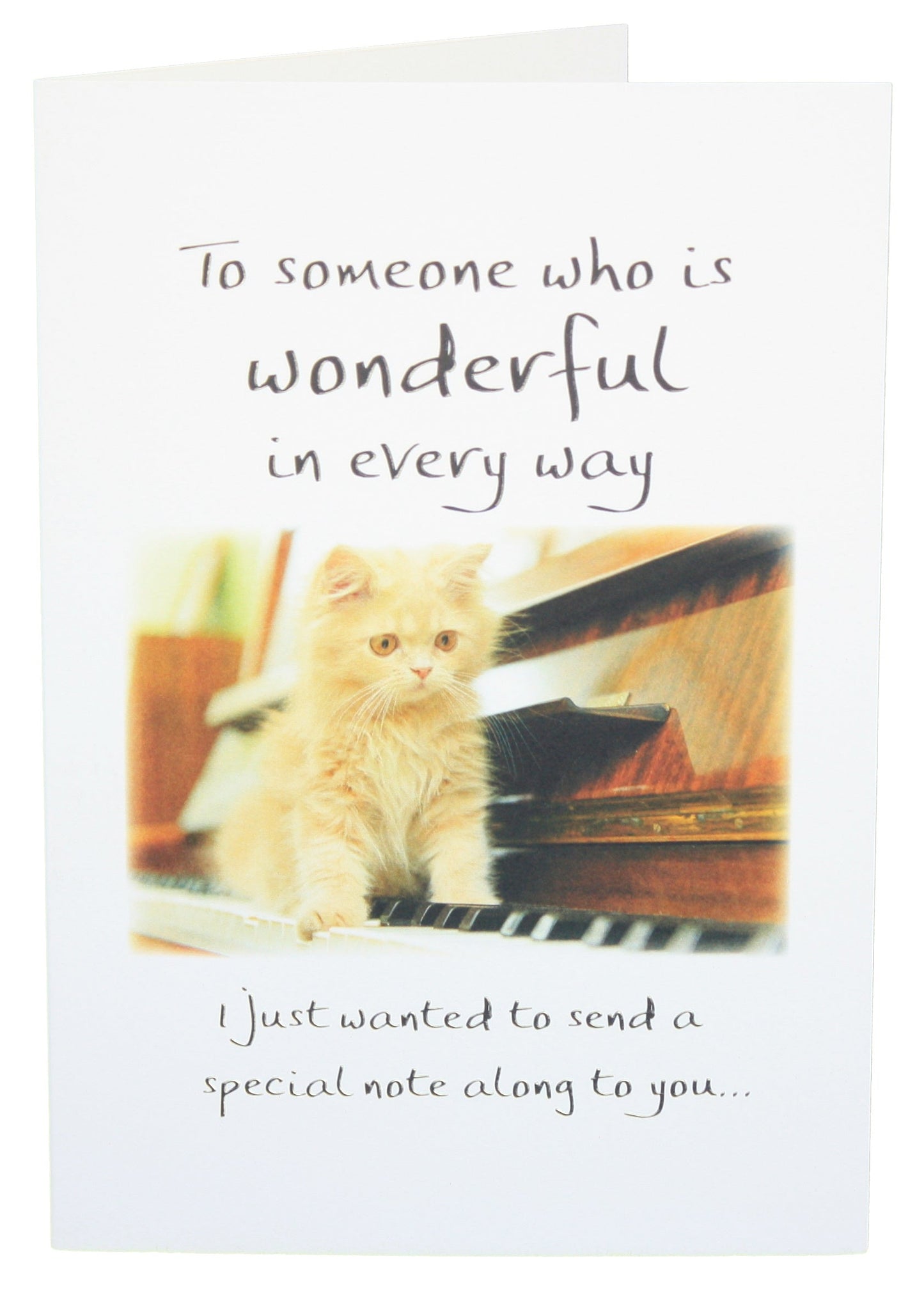To Someone Who Is Wonderful In Every Way - Greeting Card - Tampa Home & Garden Store