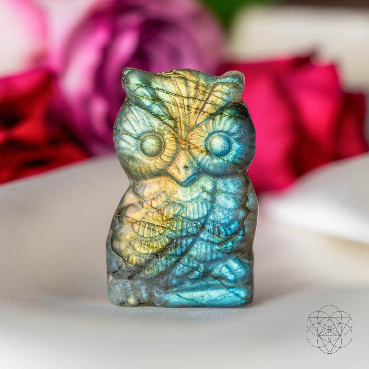 Token of Wisdom - Labradorite Owl Talisman - Tampa Home & Garden Store