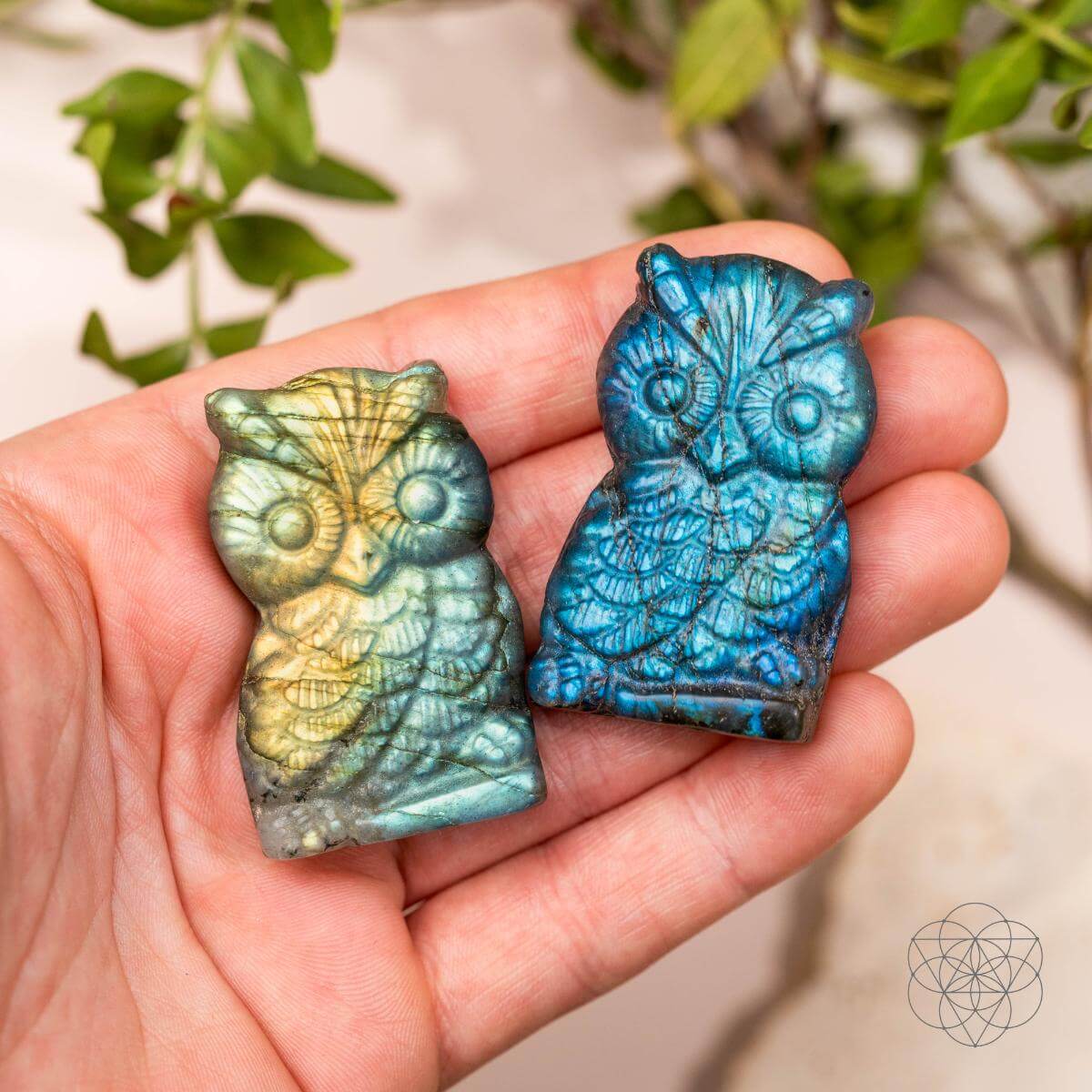 Token of Wisdom - Labradorite Owl Talisman - Tampa Home & Garden Store