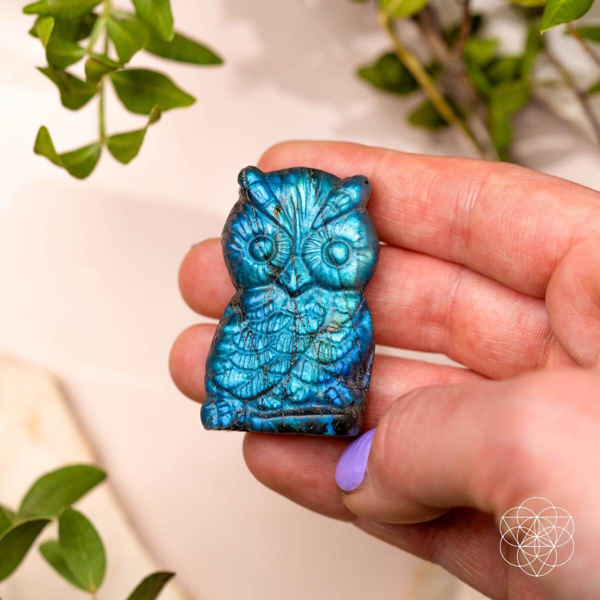 Token of Wisdom - Labradorite Owl Talisman - Tampa Home & Garden Store