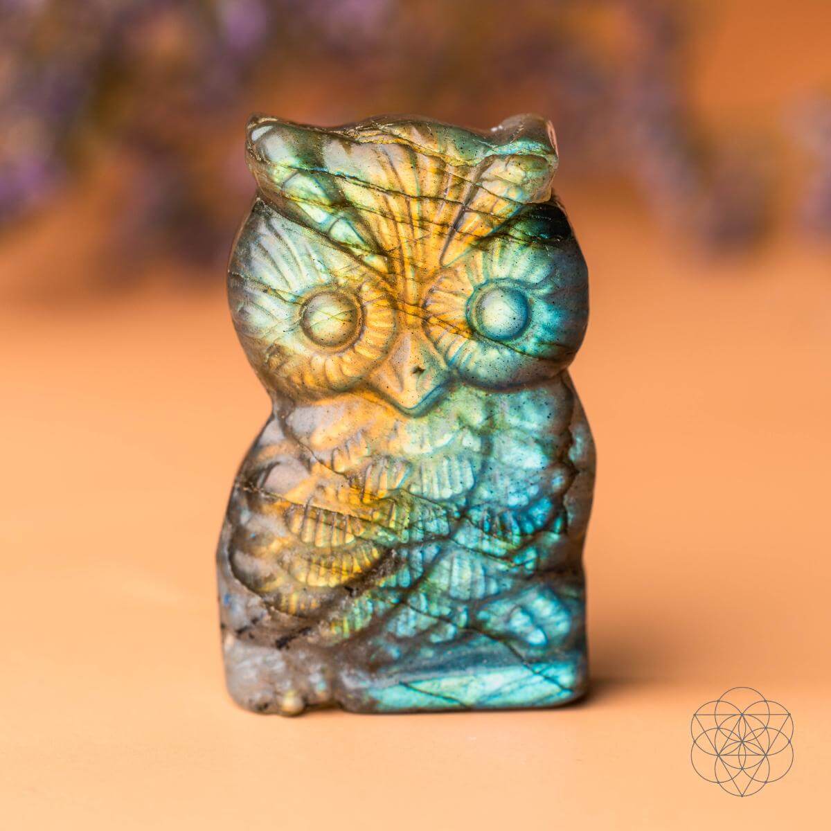 Token of Wisdom - Labradorite Owl Talisman - Tampa Home & Garden Store