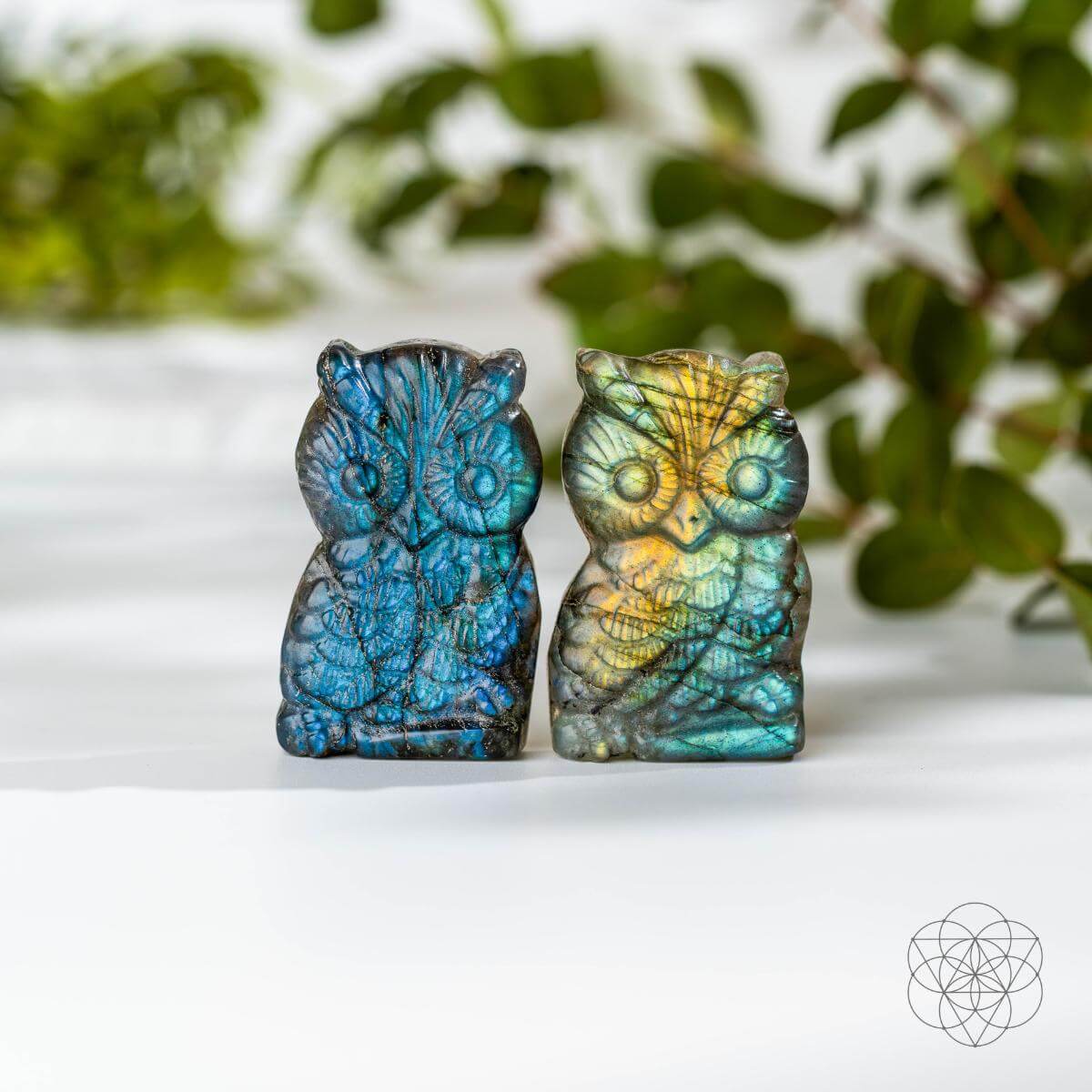 Token of Wisdom - Labradorite Owl Talisman - Tampa Home & Garden Store