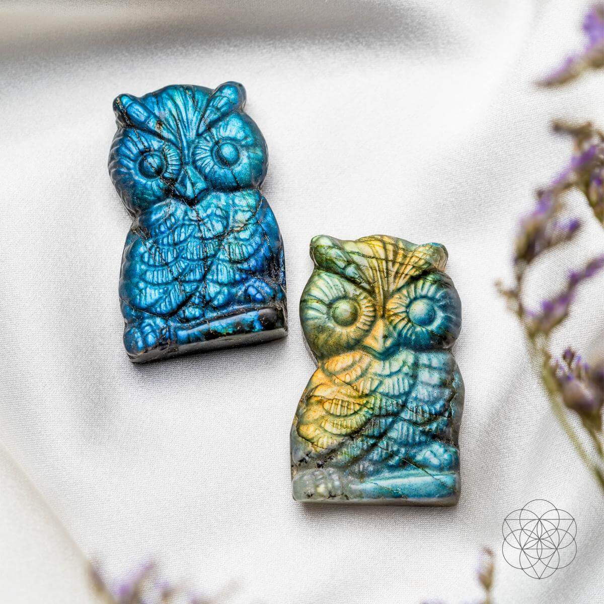 Token of Wisdom - Labradorite Owl Talisman - Tampa Home & Garden Store