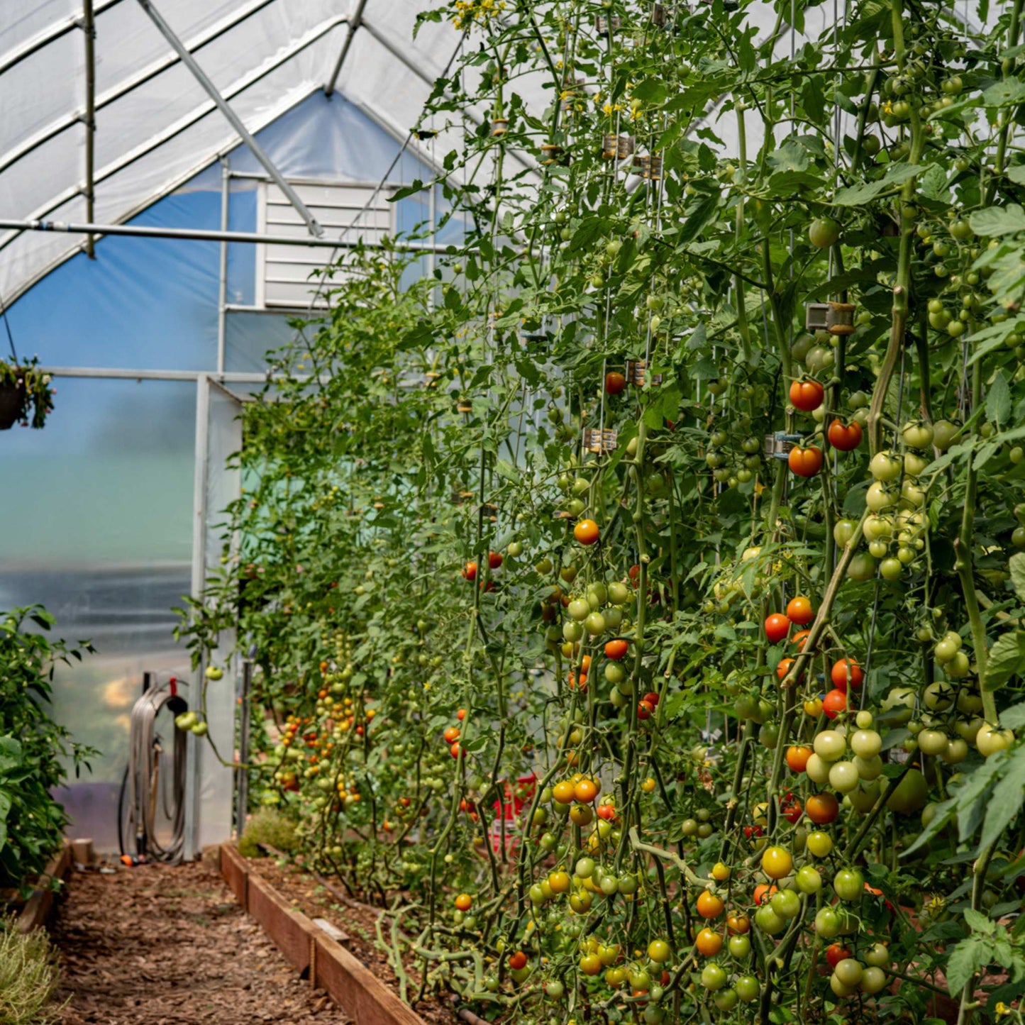 Qlipr Trellising System