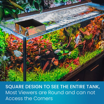 Top Down Viewer Clownfish 8 Inch Tank Panel