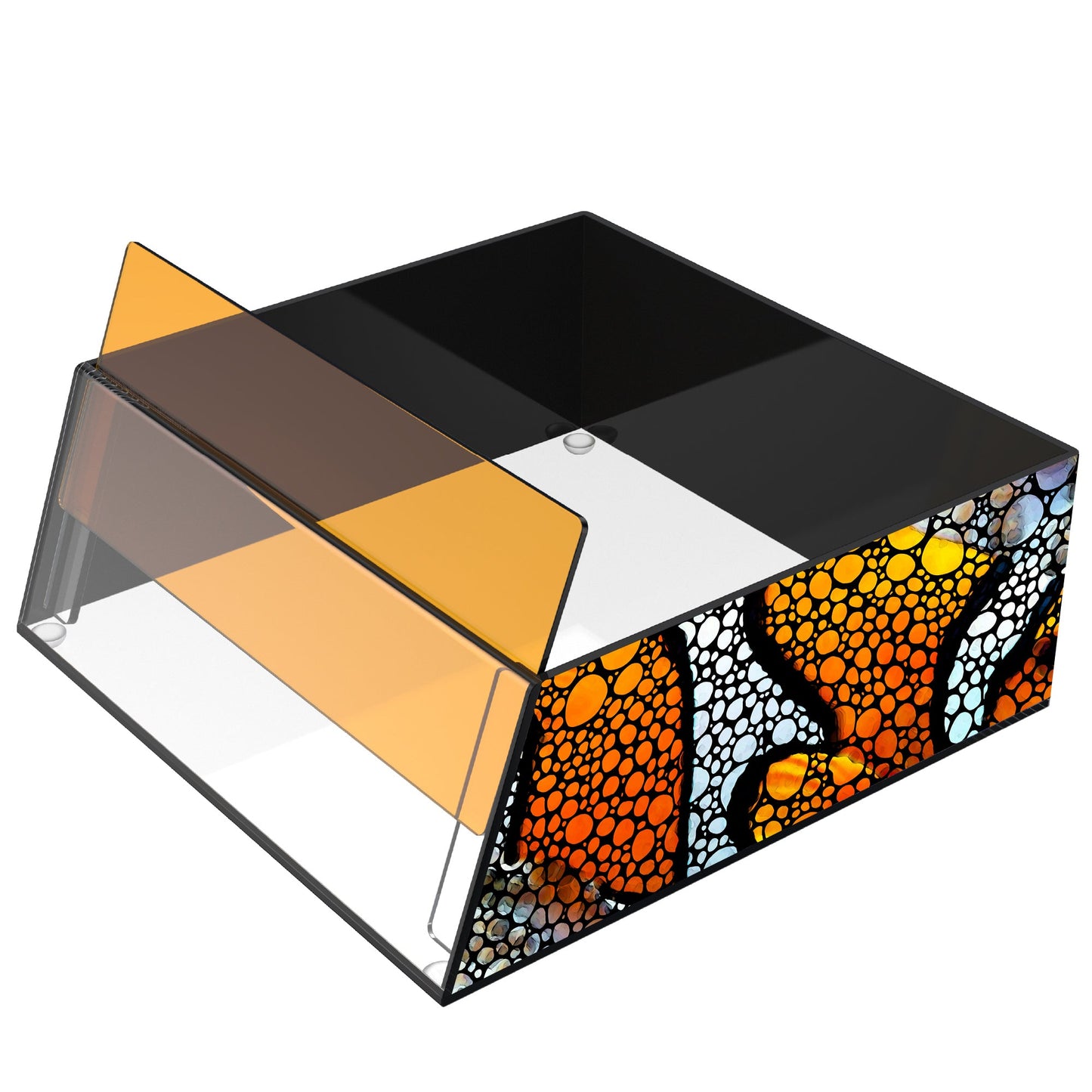 Top Down Viewer Clownfish 8 Inch Tank Panel
